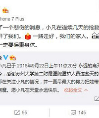 患重病女粉丝离世 张翰悼念:愿你在那里一切都好