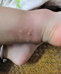 �����Ľű�ҧ��