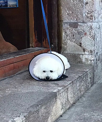 �˼��³�������Ը �ҿ��������м���Բ