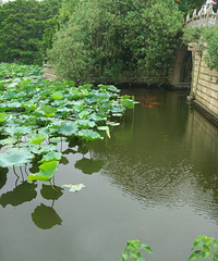 ���ڵ���