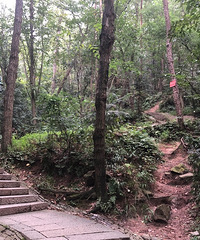 9.23【九张图】打卡+美景