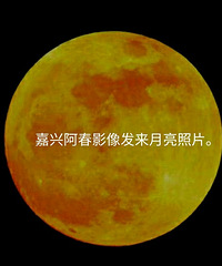 ���˰���Ӱ����������