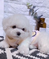 ��Ʒ����һ��