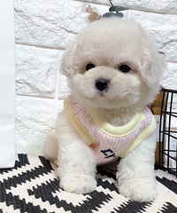 ��Ʒ����һ��