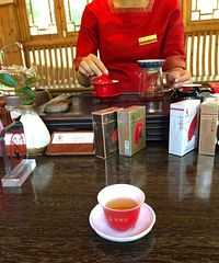 茶楼诚聘