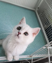 �����㱦��