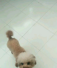 �Һ��ʵ�������С������