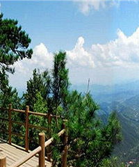 ���⿴�������ӡ�ǧ����