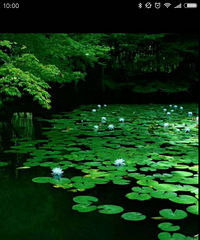 ������һ��δ��ǳ���