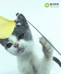 �������������ã�3�����£���������ȫ����