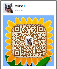 ����˫Ѫͳ��ţ������ֽоƬ ������ȫ����ӭɧ��