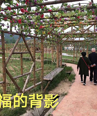 ������������