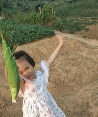 ���ף���Ů�����