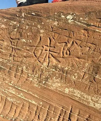 ��ʹ��������ϼ��ò�������οͿ��֣�������Ա��600��Ҳ�ָ�����