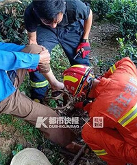 昨天灵隐附近一男的痛苦喊救命,原来是被野猪夹夹住了