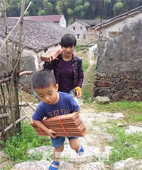 卖掉杭州两套房回农村