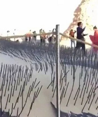 欠西湖一个道歉的他被逮了