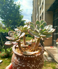 ��ã����⣡