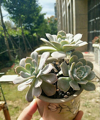 ��ã����⣡