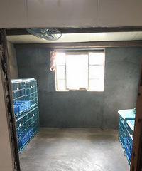 Ȯ����⹷����⹷������