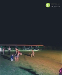 ��high����������