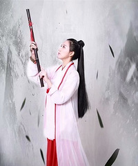 女侠梦