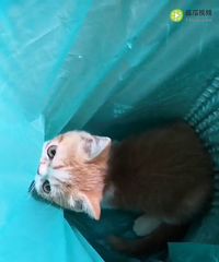 ����������������