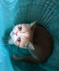 ����������������