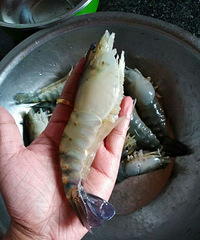 大虾