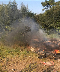 ��ɽ���ܱ߳ɷ��ճ��ˣ�����