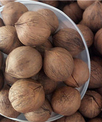 ��ô�죿��������ң����˷���