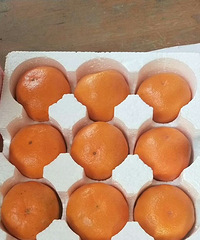 涌泉密橘