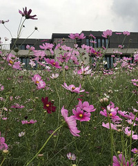 �����ļ���