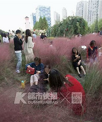 痛心!滨江这片网红花海都快被拍照的人糟蹋完了