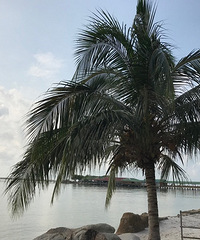 丽人海岛行