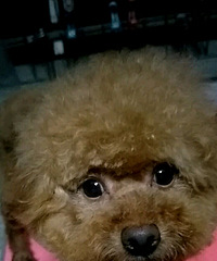 С������