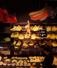 ����С��ѧϰ��