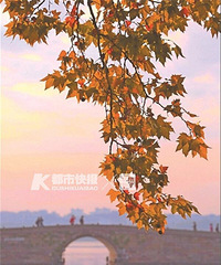 桐乡翻丝绵的大妈都来了!杭州的秋天已经过去了?