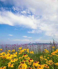 ���˹���������������ʢ���̣�����(����