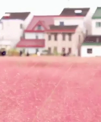 �������ӡ�̩��ʿС��