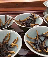 �������裬����ֱ��̫����