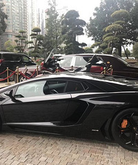 这是什么豪车,车牌号真牛!!