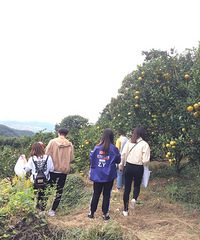 �ϱ�����ɽ������������