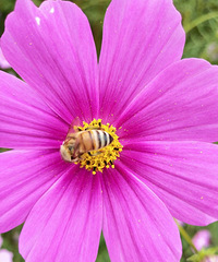 ��������ʲô����Ҫ������̱���ڵأ�