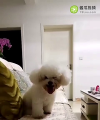 �������죬���Ҷ�����ѧ��������ҹ�������