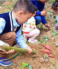 ���޻ع���Ȼ����ɽժ���ӡ�