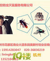 花都灭鼠防治措施步骤