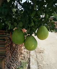 �ִ��ֺÿ������ǲ��ó�