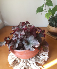 棉线和麻绳的完美组合