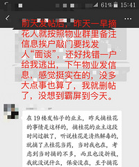 桂花事件我认怂了,摘花人你放过我吧!